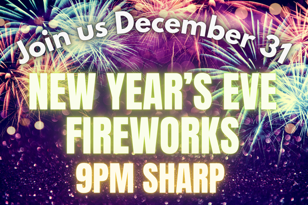 Fireworks 2025 (600 x 400 px)