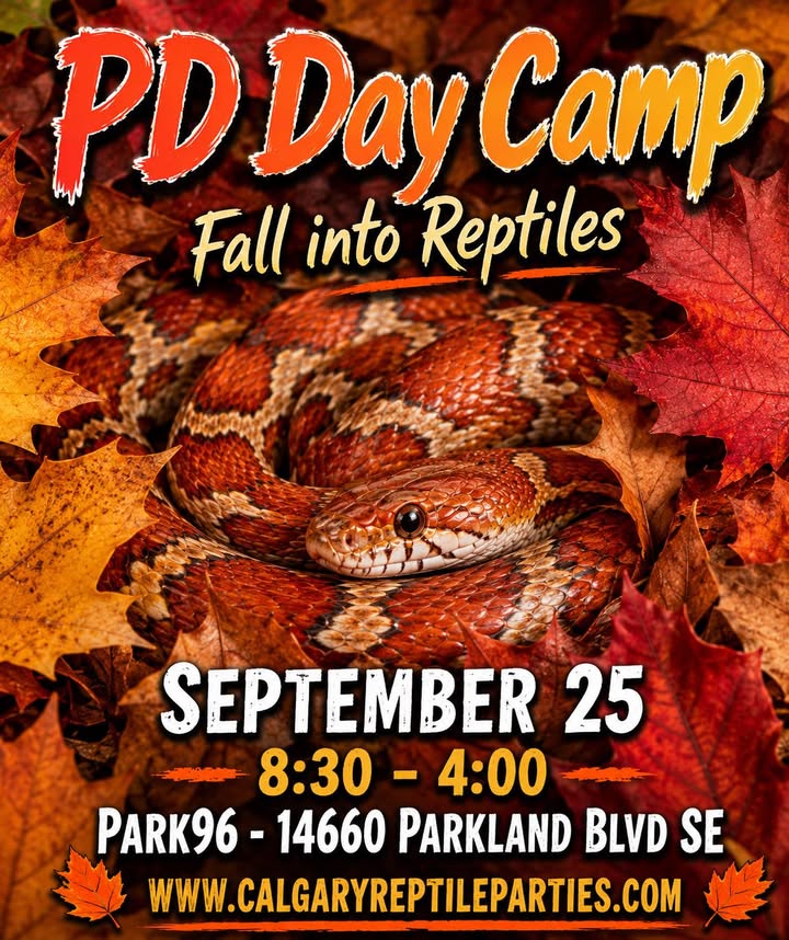 Park96